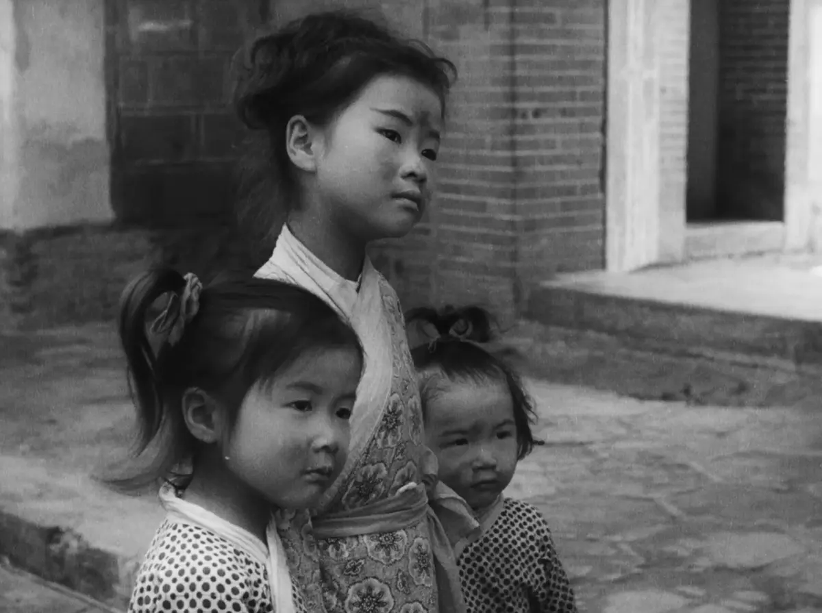 流浪三兄妹